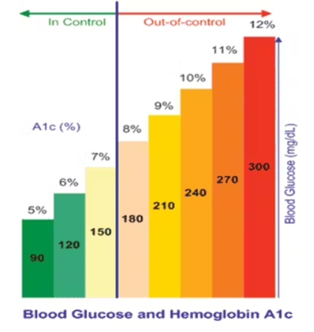 Blood Glucose and Hemoglobin